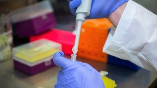 Auburn University invests $5 million in new groundbreaking research