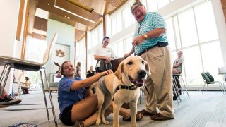 Auburn University nursing researchers use therapy dogs to assist dementia patients