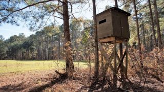 Study: hunting, fishing had $3.2 billion impact on Alabama in 2018